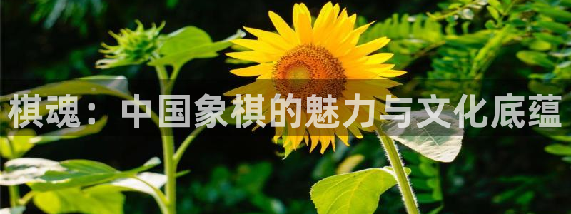 汗汗漫画免费阅读在线