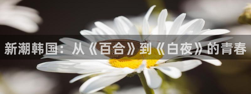 汗汗漫画免费登录入口界面