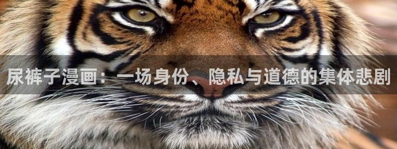 汗汗漫画书