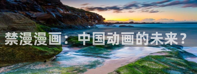 汗汗漫画首页在线观看：禁漫漫画：中国动画的未来？