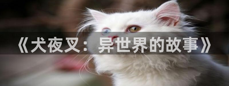 汗汗漫画在线观看网站