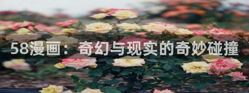 汗汗漫画免费观看全集
