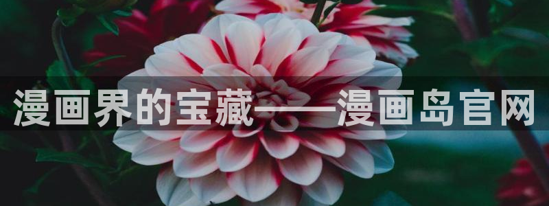 汗汗漫画火影忍者