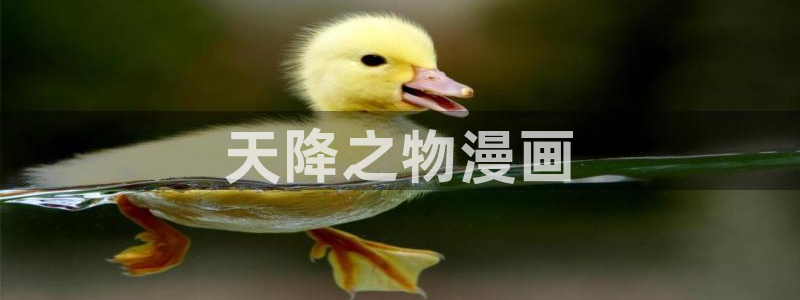 汗汗漫画首页进入