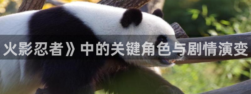 汗汗漫画在线入口
