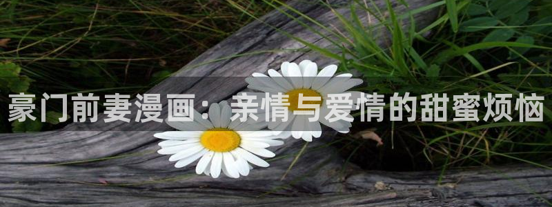汗汗漫画登陆页面