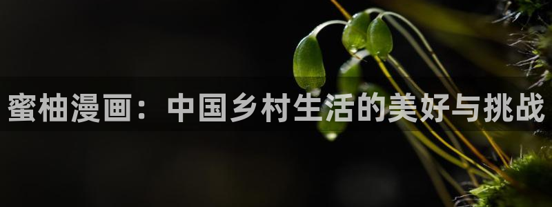 汗汗漫画免费观看在线阅读：蜜柚漫画：中国乡村生活的美好与挑战