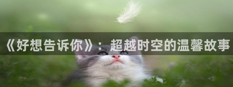 汗汗漫画在线观看免费