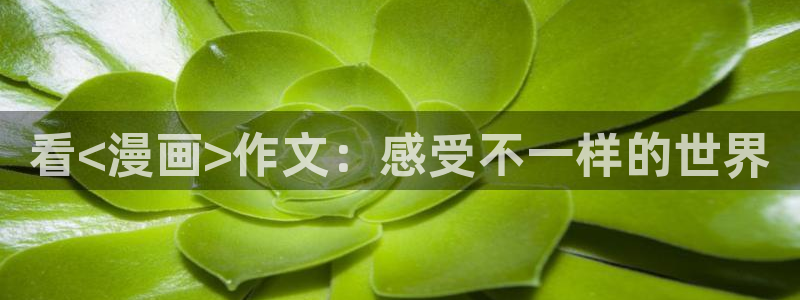 汗汗漫画sss在线观看